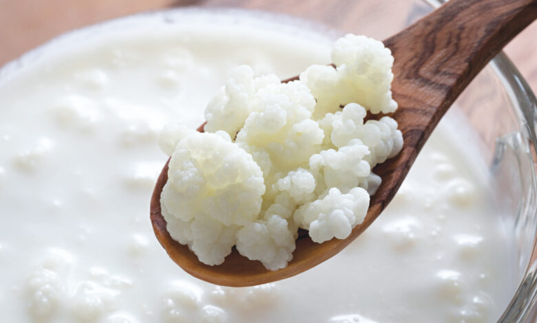 Kefir receita caseira